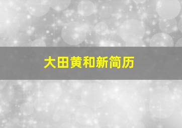 大田黄和新简历