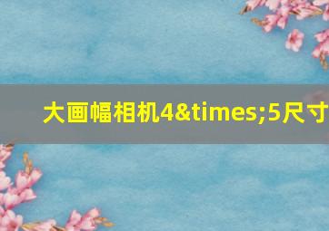 大画幅相机4×5尺寸