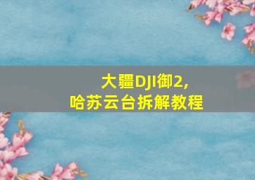 大疆DJI御2,哈苏云台拆解教程