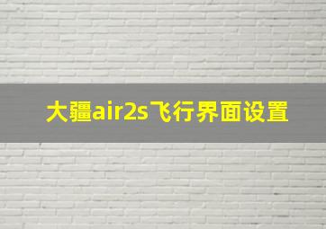 大疆air2s飞行界面设置