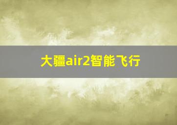 大疆air2智能飞行