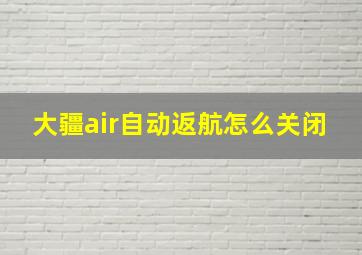 大疆air自动返航怎么关闭