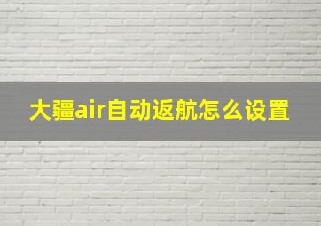 大疆air自动返航怎么设置