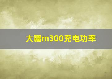 大疆m300充电功率