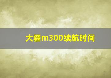 大疆m300续航时间