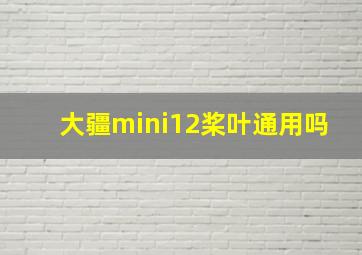 大疆mini12桨叶通用吗