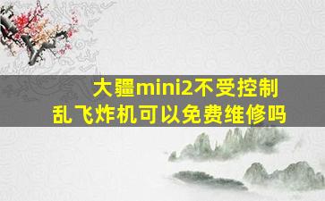 大疆mini2不受控制乱飞炸机可以免费维修吗