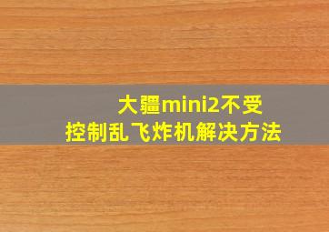 大疆mini2不受控制乱飞炸机解决方法