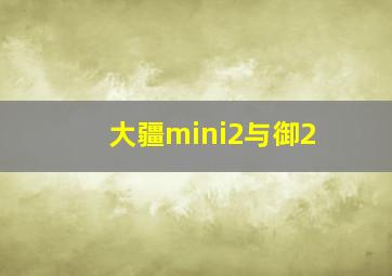 大疆mini2与御2