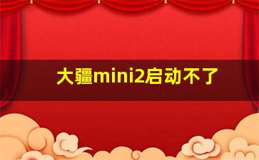 大疆mini2启动不了