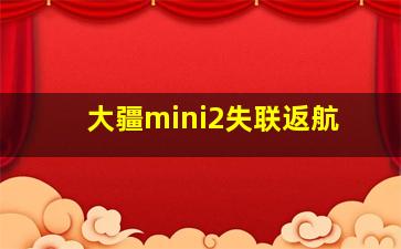 大疆mini2失联返航