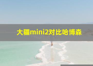 大疆mini2对比哈博森