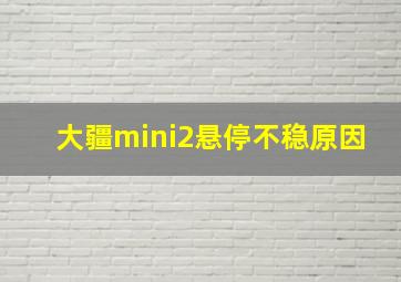 大疆mini2悬停不稳原因