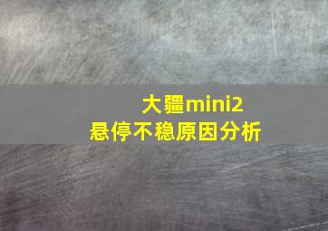 大疆mini2悬停不稳原因分析