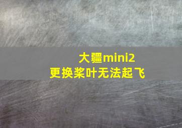 大疆mini2更换桨叶无法起飞