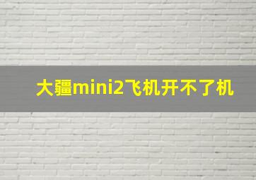 大疆mini2飞机开不了机