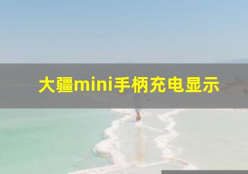 大疆mini手柄充电显示