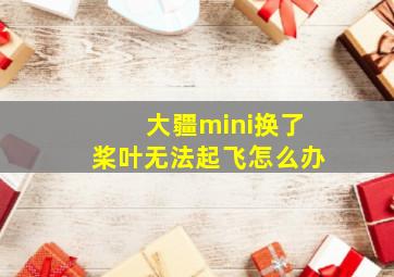 大疆mini换了桨叶无法起飞怎么办