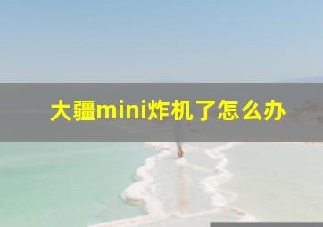 大疆mini炸机了怎么办