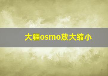 大疆osmo放大缩小