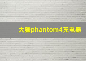 大疆phantom4充电器