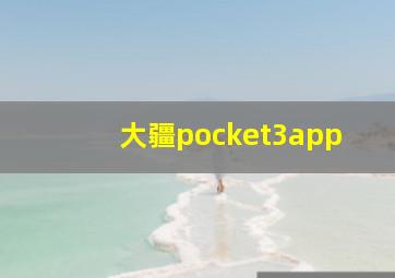 大疆pocket3app