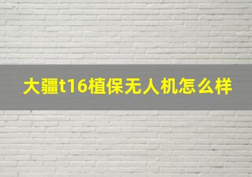 大疆t16植保无人机怎么样