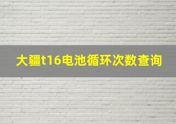 大疆t16电池循环次数查询