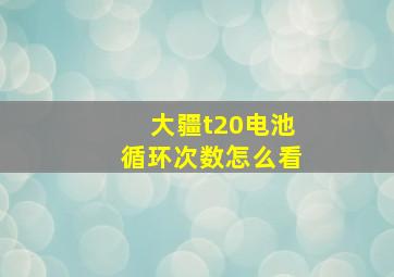 大疆t20电池循环次数怎么看