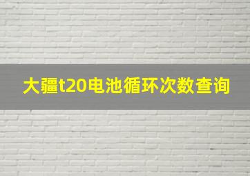 大疆t20电池循环次数查询