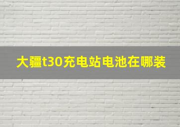 大疆t30充电站电池在哪装