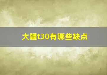 大疆t30有哪些缺点