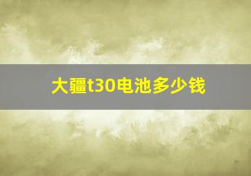 大疆t30电池多少钱