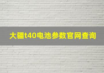 大疆t40电池参数官网查询