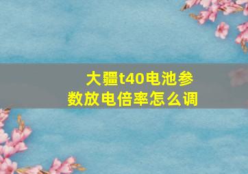 大疆t40电池参数放电倍率怎么调