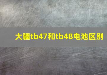 大疆tb47和tb48电池区别