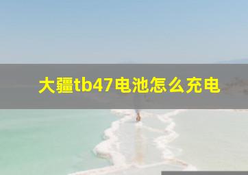 大疆tb47电池怎么充电