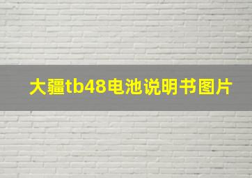 大疆tb48电池说明书图片