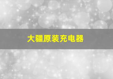 大疆原装充电器