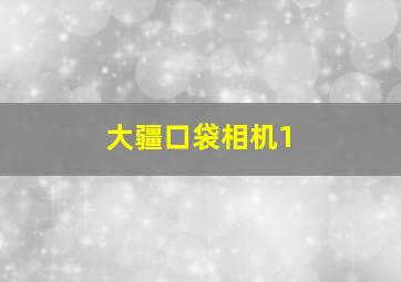 大疆口袋相机1