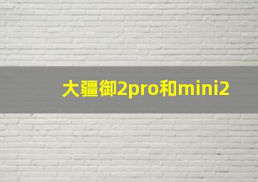 大疆御2pro和mini2