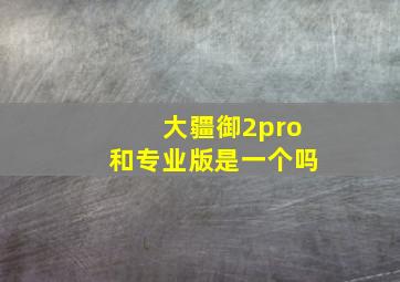 大疆御2pro和专业版是一个吗