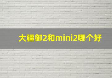 大疆御2和mini2哪个好