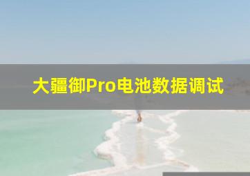 大疆御Pro电池数据调试