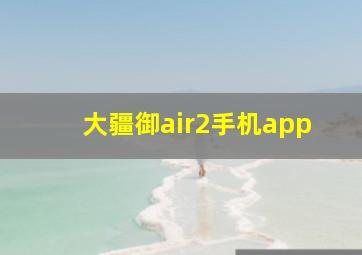 大疆御air2手机app