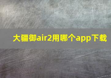 大疆御air2用哪个app下载