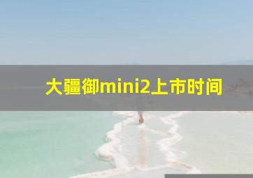 大疆御mini2上市时间