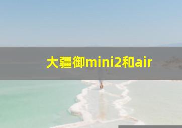 大疆御mini2和air