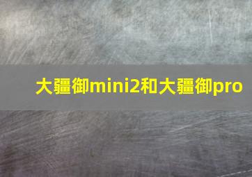 大疆御mini2和大疆御pro