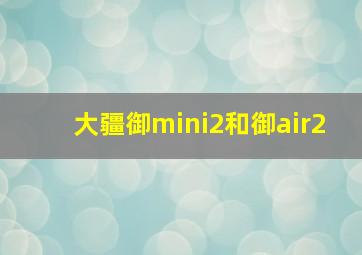 大疆御mini2和御air2